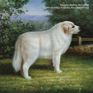 Golden Discs VINYL VMAK<KOMBZ<<<DUGLAS<<6NDR7<<< - Douglas Andrew McCombs [VINYL]