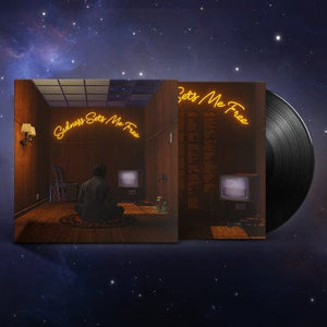 Golden Discs VINYL Sadness Sets Me Free - Gruff Rhys [VINYL]