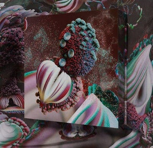 Golden Discs VINYL Fossora - Björk [VINYL Deluxe Edition Limited Edition]