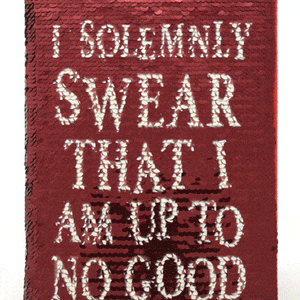 Golden Discs Notebooks Harry Potter - Sequine [Notebook]
