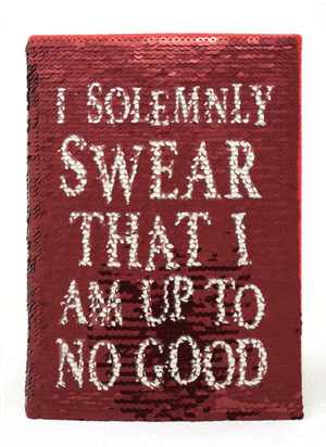 Golden Discs Notebooks Harry Potter - Sequine [Notebook]