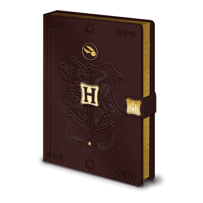 Golden Discs Notebooks Harry Potter - Quidditch Leather [Notebook]