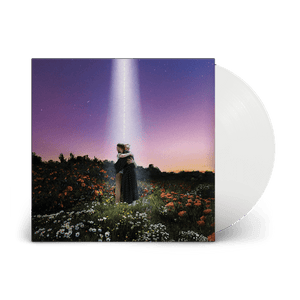 Golden Discs VINYL Let's Just Say the World Ended a Week from Now, What Would You Do:   - Honne [Clear VINYL]