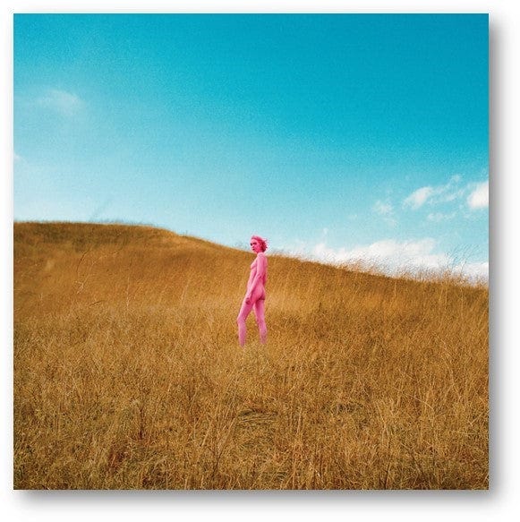 Golden Discs VINYL FURTHER JOY - THE REGRETTES [Indie Exclusive Pink Vinyl]